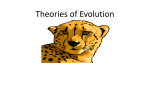 1 Theories of Evolution