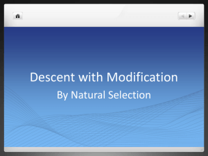 Descent with Modification