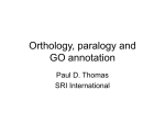 Orthology, paralogy and GO annotation