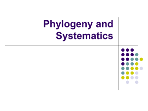 Phylogeny and Systematics