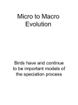 Micro to Macro Evolution - University of Washington