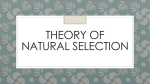 Theory of Natural Selection