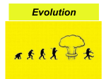 Evolution - Sauer Science