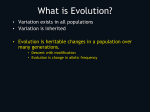 Creationism v. Evolution