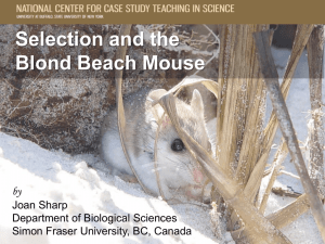 Mc1r - National Center for Case Study Teaching in Science