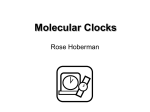 Molecular Clocks