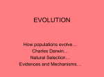 EVOLUTION