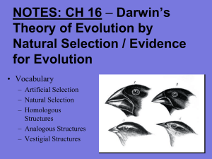 NOTES: CH 16 - Intro to Evolution