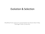 Evolution & Selection