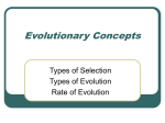 Evolutionary Concepts