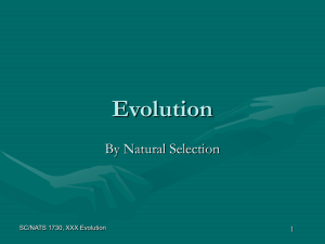 Evolution - York University