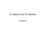 Evidence for Evolution - NAU jan.ucc.nau.edu web server