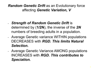 Random Genetic Drift