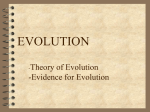 Evolution pres Bio 1 (design 2)