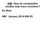 AIM: How do comparative studies help trace evolution?