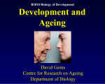 ageing Powerpoint