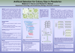 Artificial selection for colony size in Pleodorina