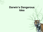 Darwin`s Dangerous Idea
