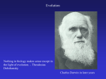 Darwin and His Theory