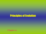 Chapter 10 Principle of Evolution