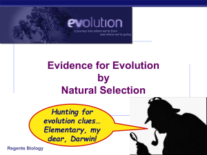 Evolution evidence ppt