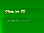 CH. 22 Evidence for Evolution