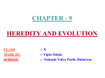 Heredidity and Evolution