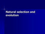 Natural selection and evolution