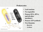 Origins of Metabolism