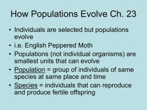 Population Genetics