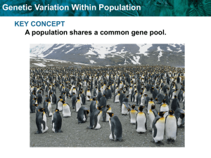 Genetic Variation Within Population