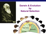 Chapter 14 Darwin