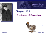 Evidence for Evolution & Macroevolution PPT