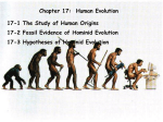 Chapter 17-Human Evolution