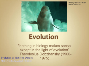Notes ppt. over the evidence of evolution