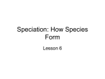 Speciation: How Species Form - Blyth-Biology11