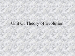 Unit 7: Theory of Evolution