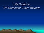 Life Science 2nd Semester Exam Review
