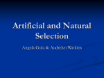 Natural and Artificial Selection