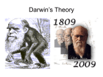 Darwin`s Theory