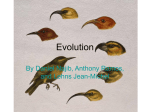 EvolutionPart1