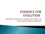EVIDENCE FOR EVOLUTION