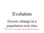 Dr. P`s Evolution Notes