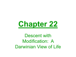 Chapter 22