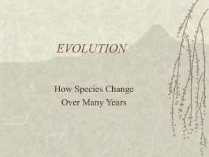 evolution - Jamestown School District