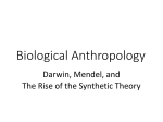 Darwin, Mendel, and the Rise of the Synthetic Theory