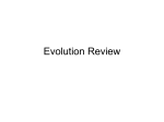 Evolution and Classification Review