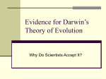 Evidence for Darwin`s Theory of Evolution
