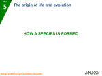 How a species is formed