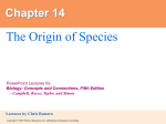 14. The Origin of the Species